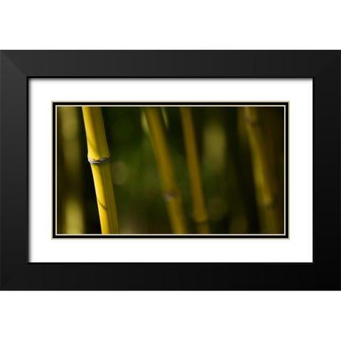 Bamboo Afternoon V Black Modern Wood Framed Art Print with Double Matting by Crane, Rita
