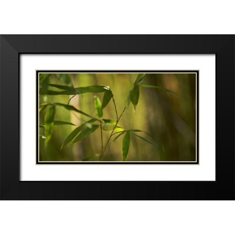 Bamboo Afternoon XI Black Modern Wood Framed Art Print with Double Matting by Crane, Rita