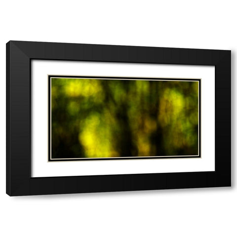 Dream Forest I Black Modern Wood Framed Art Print with Double Matting by Crane, Rita