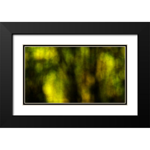 Dream Forest I Black Modern Wood Framed Art Print with Double Matting by Crane, Rita