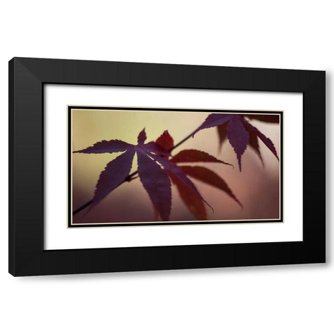 Burgundy Maple I Black Modern Wood Framed Art Print with Double Matting by Crane, Rita