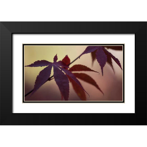 Burgundy Maple I Black Modern Wood Framed Art Print with Double Matting by Crane, Rita