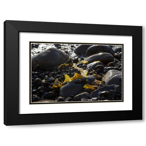Rocky Shore I Black Modern Wood Framed Art Print with Double Matting by Crane, Rita