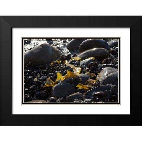 Rocky Shore I Black Modern Wood Framed Art Print with Double Matting by Crane, Rita