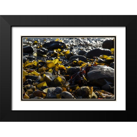 Rocky Shore II Black Modern Wood Framed Art Print with Double Matting by Crane, Rita