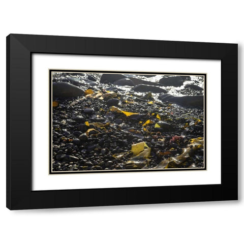 Rocky Shore III Black Modern Wood Framed Art Print with Double Matting by Crane, Rita