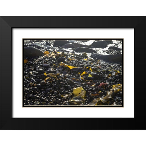 Rocky Shore III Black Modern Wood Framed Art Print with Double Matting by Crane, Rita