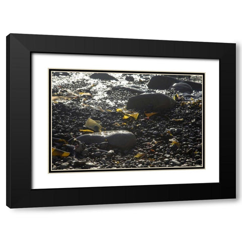 Rocky Shore IV Black Modern Wood Framed Art Print with Double Matting by Crane, Rita