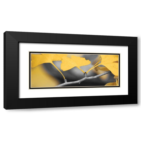Yellow Gingko I Black Modern Wood Framed Art Print with Double Matting by Crane, Rita
