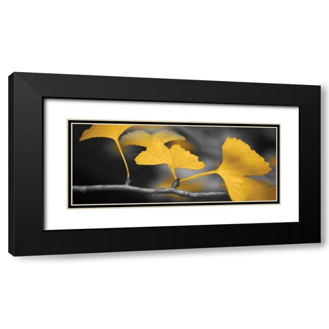 Yellow Gingko II Black Modern Wood Framed Art Print with Double Matting by Crane, Rita