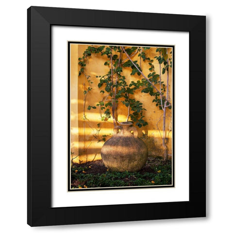 Riviera Garden Detail II Black Modern Wood Framed Art Print with Double Matting by Crane, Rita