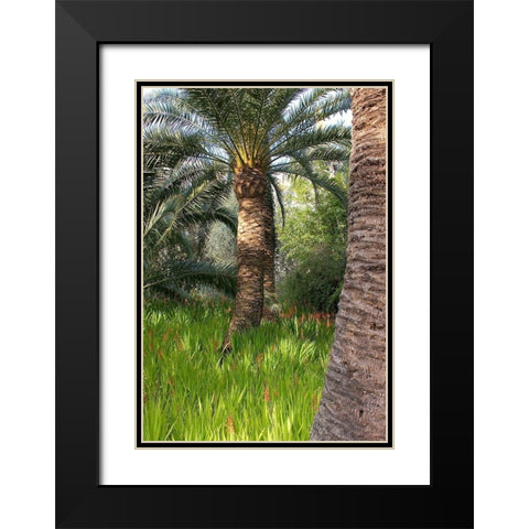 Riviera Garden Palm II Black Modern Wood Framed Art Print with Double Matting by Crane, Rita
