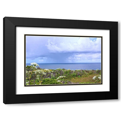 Spring Morning II Black Modern Wood Framed Art Print with Double Matting by Crane, Rita