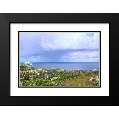 Spring Morning II Black Modern Wood Framed Art Print with Double Matting by Crane, Rita