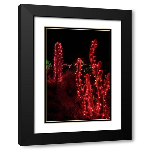 Holiday Cactus I Black Modern Wood Framed Art Print with Double Matting by Crane, Rita