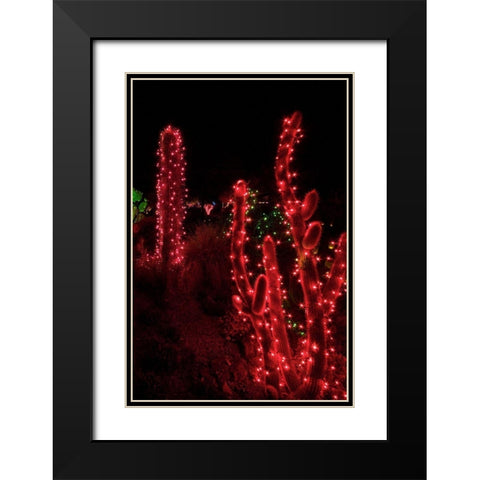 Holiday Cactus I Black Modern Wood Framed Art Print with Double Matting by Crane, Rita