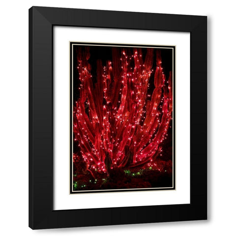 Holiday Cactus II Black Modern Wood Framed Art Print with Double Matting by Crane, Rita