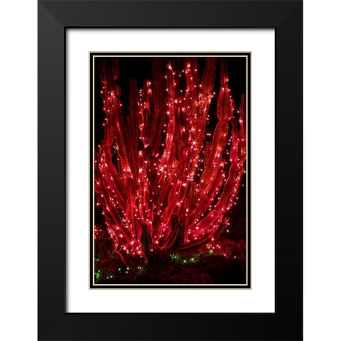 Holiday Cactus II Black Modern Wood Framed Art Print with Double Matting by Crane, Rita
