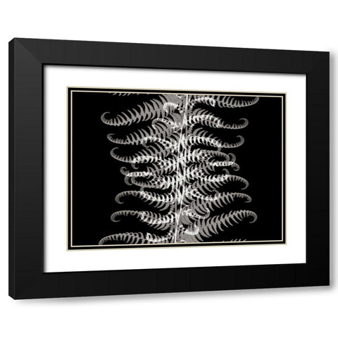 Ferns I Black Modern Wood Framed Art Print with Double Matting by Christensen, Jim
