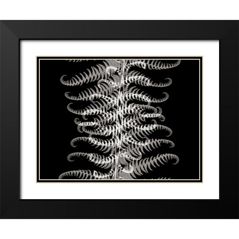 Ferns I Black Modern Wood Framed Art Print with Double Matting by Christensen, Jim