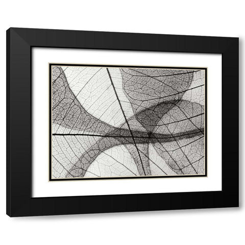 Leaf Designs I BW Black Modern Wood Framed Art Print with Double Matting by Christensen, Jim