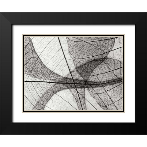 Leaf Designs I BW Black Modern Wood Framed Art Print with Double Matting by Christensen, Jim