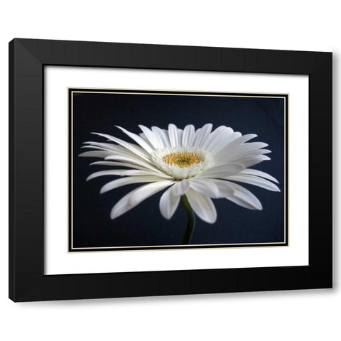 Gerber Angle I Black Modern Wood Framed Art Print with Double Matting by Christensen, Jim