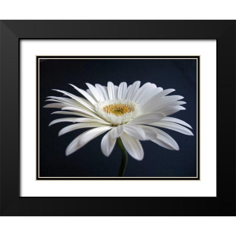 Gerber Angle I Black Modern Wood Framed Art Print with Double Matting by Christensen, Jim