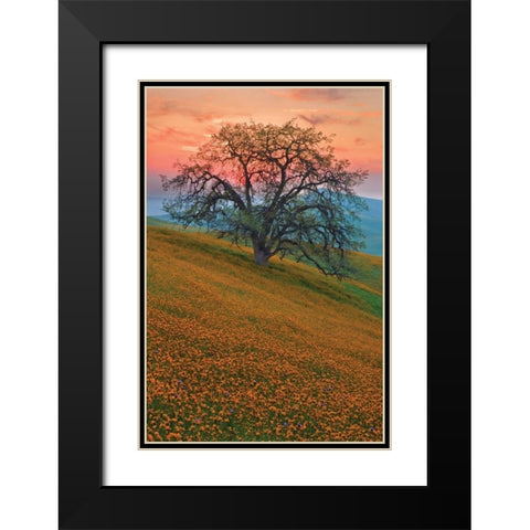 Rancheria Black Modern Wood Framed Art Print with Double Matting by Geistweite, Mark