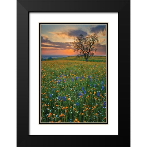 Bear Mountain Black Modern Wood Framed Art Print with Double Matting by Geistweite, Mark