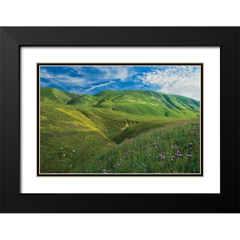 Wind Wolves Black Modern Wood Framed Art Print with Double Matting by Geistweite, Mark