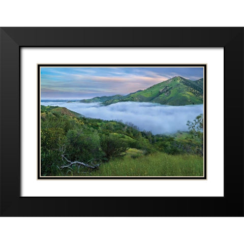 Figueroa Black Modern Wood Framed Art Print with Double Matting by Geistweite, Mark