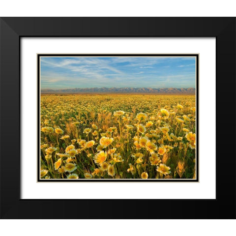 Carrizo I Black Modern Wood Framed Art Print with Double Matting by Geistweite, Mark