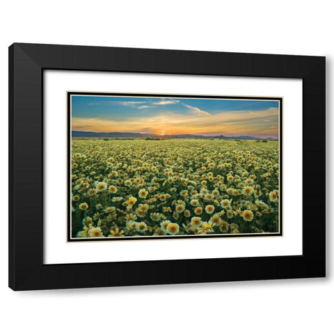 Carrizo II Black Modern Wood Framed Art Print with Double Matting by Geistweite, Mark