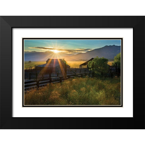 Walker Basin II Black Modern Wood Framed Art Print with Double Matting by Geistweite, Mark