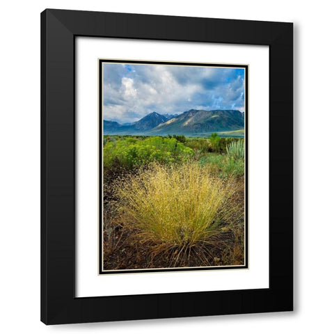 Eastern Sierra IV Black Modern Wood Framed Art Print with Double Matting by Geistweite, Mark