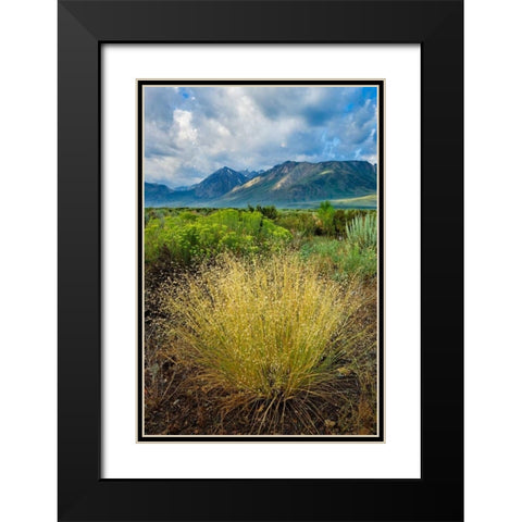 Eastern Sierra IV Black Modern Wood Framed Art Print with Double Matting by Geistweite, Mark