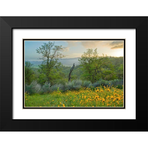 Caliente Spring II Black Modern Wood Framed Art Print with Double Matting by Geistweite, Mark