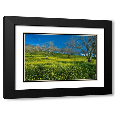 Mustard Factory I Black Modern Wood Framed Art Print with Double Matting by Geistweite, Mark