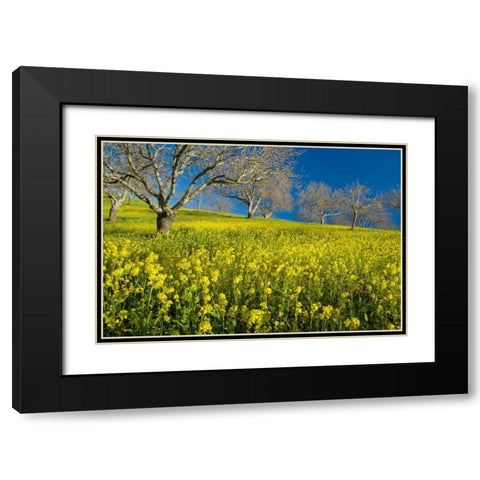 Mustard Factory II Black Modern Wood Framed Art Print with Double Matting by Geistweite, Mark