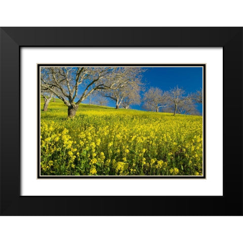 Mustard Factory II Black Modern Wood Framed Art Print with Double Matting by Geistweite, Mark