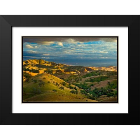 Spring Exodus Black Modern Wood Framed Art Print with Double Matting by Geistweite, Mark