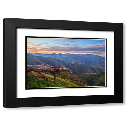 Pastel in Nature I Black Modern Wood Framed Art Print with Double Matting by Geistweite, Mark