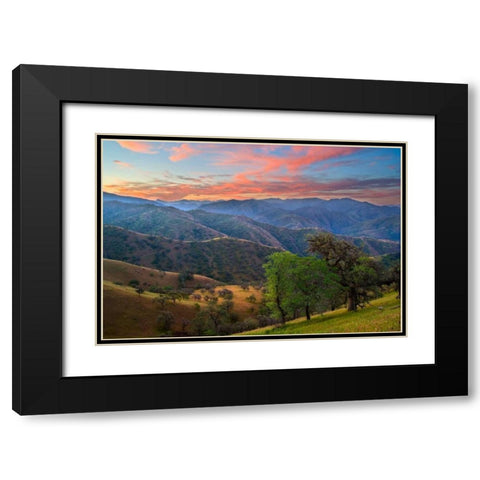 Pastel in Nature II Black Modern Wood Framed Art Print with Double Matting by Geistweite, Mark