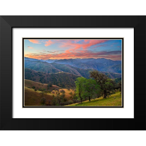 Pastel in Nature II Black Modern Wood Framed Art Print with Double Matting by Geistweite, Mark