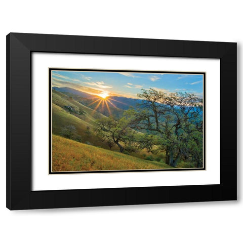 Spring Sunburst I Black Modern Wood Framed Art Print with Double Matting by Geistweite, Mark