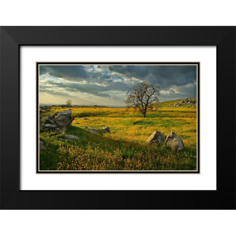 Summer Sun Black Modern Wood Framed Art Print with Double Matting by Geistweite, Mark