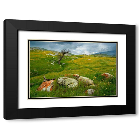 Trail Northward Black Modern Wood Framed Art Print with Double Matting by Geistweite, Mark