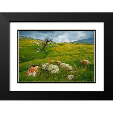 Trail Northward Black Modern Wood Framed Art Print with Double Matting by Geistweite, Mark
