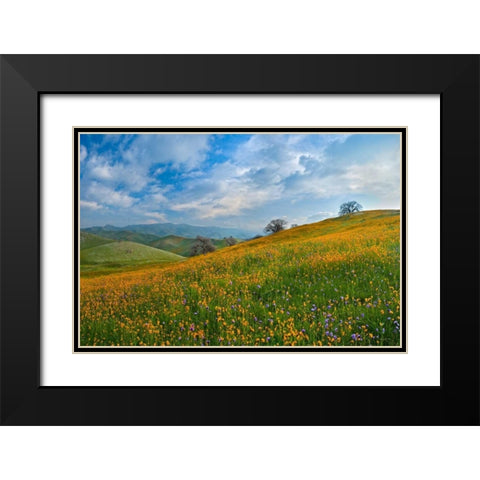 Sprung I Black Modern Wood Framed Art Print with Double Matting by Geistweite, Mark